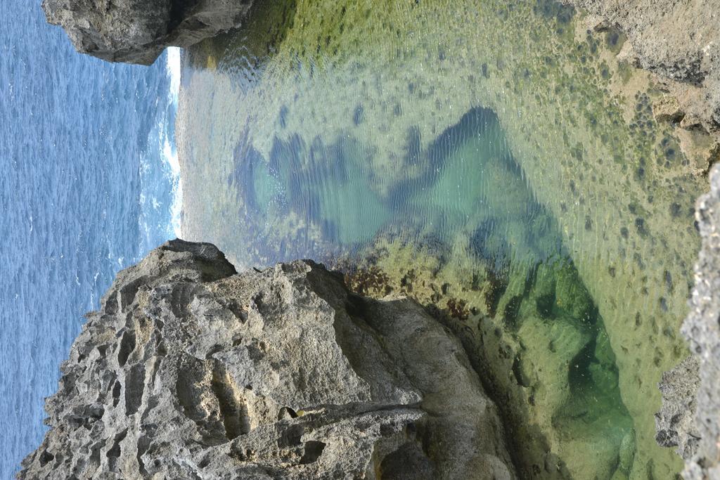 Full Moon Hostel Nusa Penida Dış mekan fotoğraf
